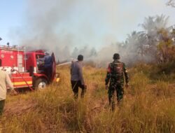 Respon Cepat Tim Pemadam Kebakaran Selamatkan Dusun Karang Jurang dari Kebakaran Mematikan