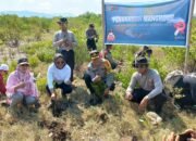 Peringati HUT Humas Polri Ke-72, Polda NTB Tanam Ribuan Bibit Mangrove di Pantai Cemara