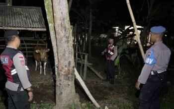 Keamanan Kandang Ternak Sapi Terjaga, Polsek Sekotong Gelar Patroli Rutin Yang Ditingkatkan