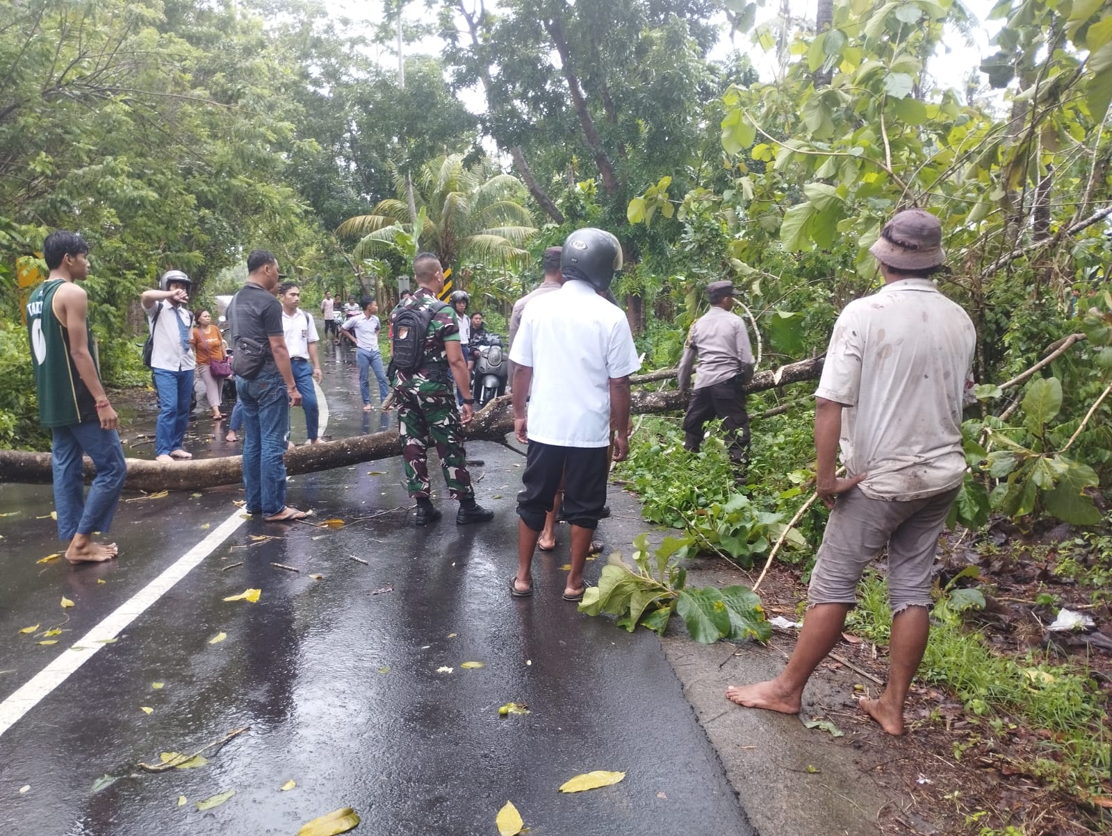 Tanggap Darurat Cuaca Ekstrem, Polsek Gerung Atasi Pohon Tumbang