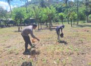 Bhabinkamtibmas Polsek Rhee Sambangi Petani di Desa Luk, Dukung Ketahanan Pangan Nasional