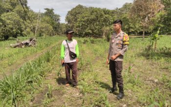 Bhabinkamtibmas Desa Kadindi Barat Pantau Persiapan Lahan Program Ketahanan Pangan Nasional Menuju Indonesia Emas 2024