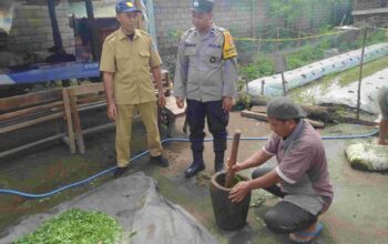 Petani Lombok Barat Buat Pestisida Nabati, Lebih Ramah Lingkungan!