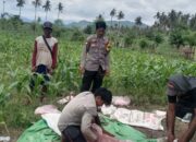 Bhabinkamtibmas Desa Lune Dukung Program Ketahanan Pangan Nasional