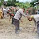 Dukung Ketahanan Pangan Nasional, Polres Bima Kota Gelar Penanaman Jagung Serentak 1 Juta Hektar