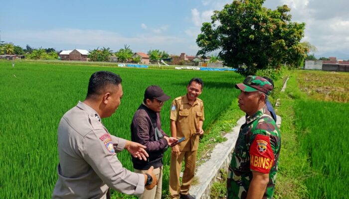 Pengecekan Lahan Kosong Karang Bongkot: Dukung Ketahanan Pangan!