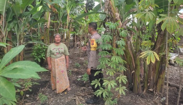 Bhabinkamtibmas Dukung Ketahanan Pangan, Warga Makin Semangat Bertani!