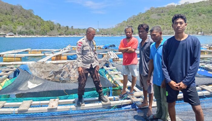 Polsek Sekotong Dukung Budidaya Ikan di Gili Gede