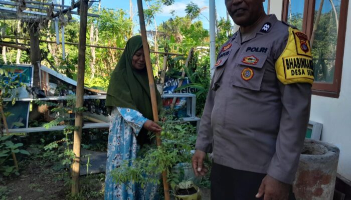 Bhabinkamtibmas Senggigi Dukung Ketahanan Pangan, Warga Antusias!