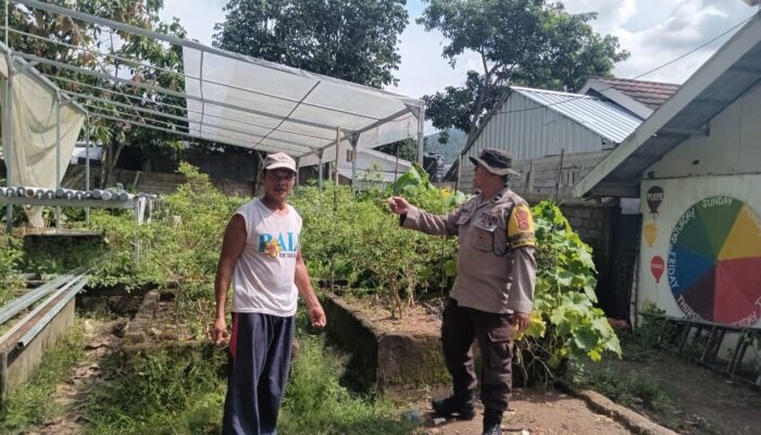 Inovasi Ekobrik: Warga Lembahsari Sulap Pekarangan Jadi Kebun Sayur