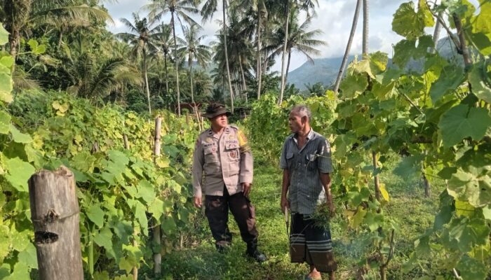 Bhabinkamtibmas Batulayar Pantau Lahan Pekarangan Gizi, Warga Antusias!