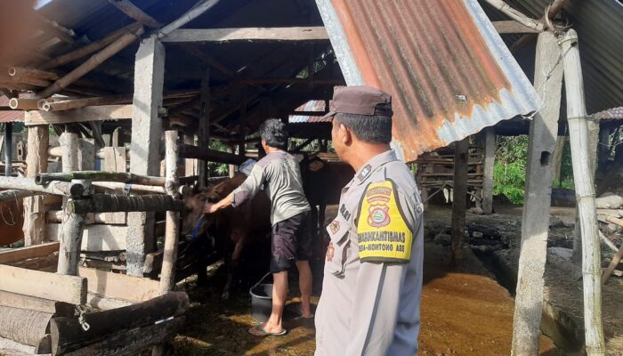 Sinergi Polisi & Peternak: Jaga Keamanan Sapi, Amankan Pangan Kediri