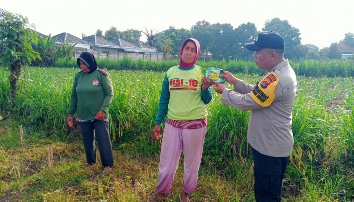 Polsek Labuapi Aktif Dukung Ketahanan Pangan di Lombok Barat