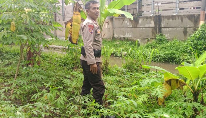 Polsek Labuapi Dukung Ketahanan Pangan, Bhabinkamtibmas Terjun ke Desa