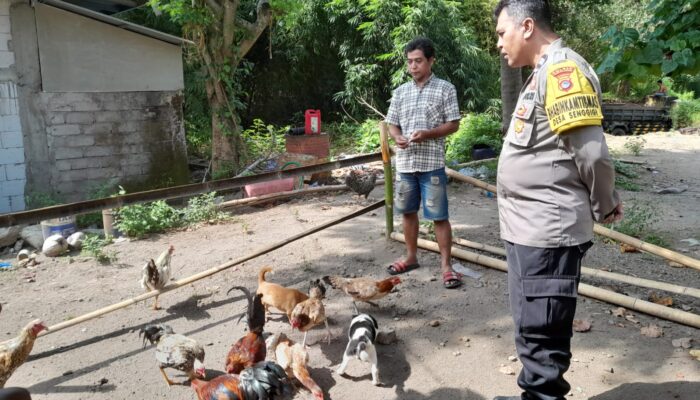 Bhabinkamtibmas Senggigi Aktif Sosialisasi Ketahanan Pangan ke Warga