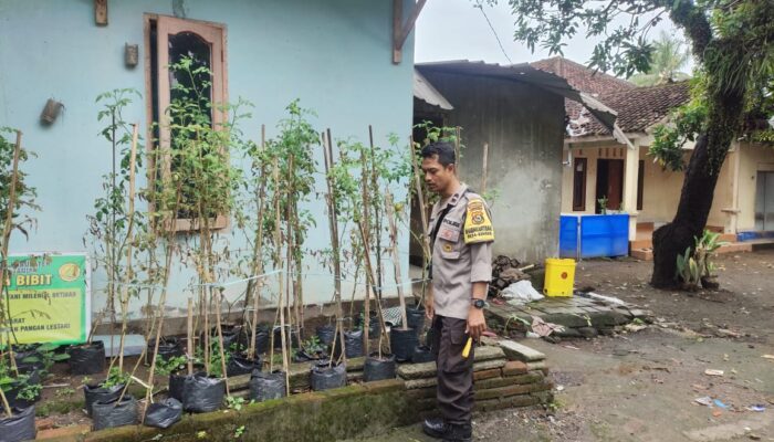 Pekarangan Jadi Sumber Pangan, Warga Bengkel Dapat Apresiasi