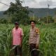 Bhabinkamtibmas Desa Lune Pantau Lahan Pertanian Jagung untuk Dukung Ketahanan Pangan