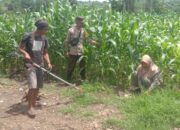 Bhabinkamtibmas Dukung Petani Optimalkan Lahan Jagung untuk Ketahanan Pangan