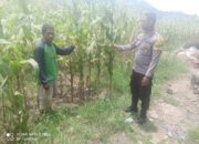 Bhabinkamtibmas Desa Jambu Pantau Lahan Pertanian untuk Ketahanan Pangan Nasional
