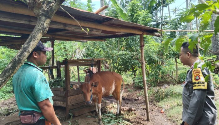 Bhabinkamtibmas Sosialisasi P2B: Manfaatkan Pekarangan untuk Ketahanan Pangan