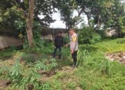Bhabinkamtibmas di Labuapi Dorong Ketahanan Pangan, Warga Lombok Barat Antusias