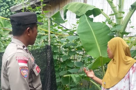 Pekarangan Bergizi di Sekotong Barat, Polri Berperan Aktif Dukung Ketahanan Pangan