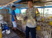 Dukung Ketahanan Pangan, Bhabinkamtibmas Desa Sermong Monitoring Ayam Potong Milik Warga Binaan