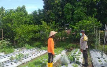 Warga Jagaraga Semangat Tanam, Berkat Dorongan Polisi