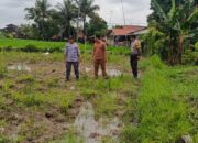 Sinergi Bhabinkamtibmas dan Warga Bangun Ketahanan Pangan di Kuripan Utara