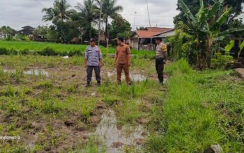 Sinergi Bhabinkamtibmas dan Warga Bangun Ketahanan Pangan di Kuripan Utara