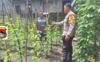 Guna Mendukung Ketahanan Pangan, Bhabinkamtibmas Ikut Bantu Serta Motivasi Warga Buat Kebun Sayur di Rhee