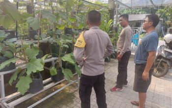 Polres Loteng Tinjau Pekarangan Lahan Bergizi Milik Warga