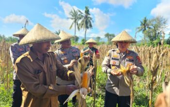 Kapolres Lombok Barat Tinjau Kesiapan Panen Raya Jagung
