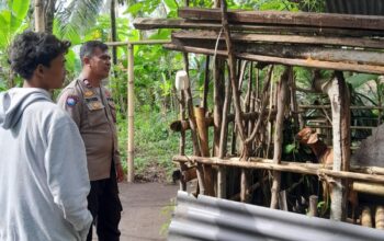 Kolaborasi Polisi dan Warga Bhabinkamtibmas Senggigi Perkuat Ketahanan Pangan di Dusun Krandangan