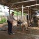 Sinergi Polri dan Warga Wujudkan Ketahanan Pangan Berkelanjutan