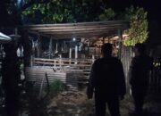 Polsek Sekotong Intensifkan Patroli Malam, Sasar Kandang Ternak Cegah Kejahatan