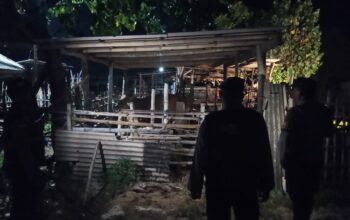 Polsek Sekotong Intensifkan Patroli Malam, Sasar Kandang Ternak Cegah Kejahatan