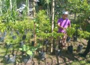Sinergi Polisi dan Warga Lombok Barat Wujudkan Program Ketahanan Pangan