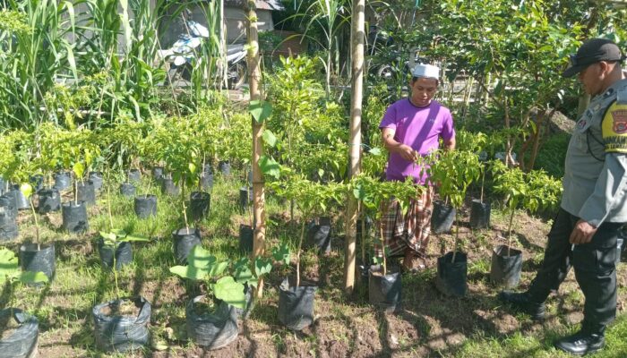 Polsek Batulayar Dukung Ketahanan Pangan Lewat Sosialisasi Langsung ke Warga