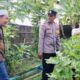 Polisi Ajak Warga Tanam Sayur di Pekarangan di Desa Bajur