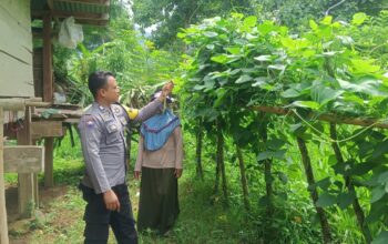 Sukseskan Ketahanan Pangan, Bhabinkamtibmas Desa Seran Dampingi Warga Kelola Lahan Pangan Bergizi