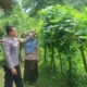 Sukseskan Ketahanan Pangan, Bhabinkamtibmas Desa Seran Dampingi Warga Kelola Lahan Pangan Bergizi