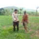 Dukung Ketahanan Pangan, Bhabinkamtibmas Desa Bara Pantau Pengolahan Lahan Jagung Musim Kedua