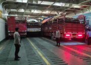 Pengamanan Ketat di Pelabuhan Lembar, Pastikan Pemuatan Truk Ternak Sapi Berjalan Lancar