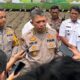 Lonjakan Produksi Jagung di Wilayah Polda Jatim Dukung Program Swasembada Pangan