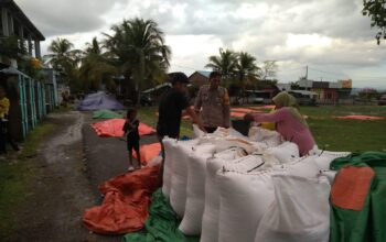 Ketahanan Pangan Nasional, Bhabinkamtibmas Polsek Soromandi Aktif Bantu Petani di Desa Binaannya
