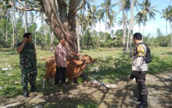 Bhabinkamtibmas Batulayar Giatkan Pertanian Pekarangan Warga