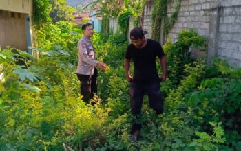 Membangun Kemandirian Pangan Lewat Inisiatif Bhabinkamtibmas Desa Perampuan