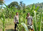 Peran Bhabinkamtibmas dalam Ketahanan Pangan di Desa Senggigi