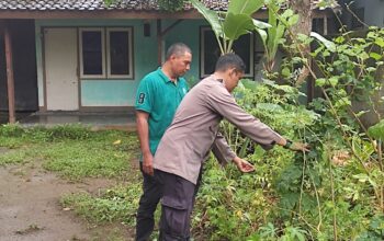 Dukung Ketahanan Pangan, Warga Desa Kuranji Dalang Tanam Sayuran di Pekarangan